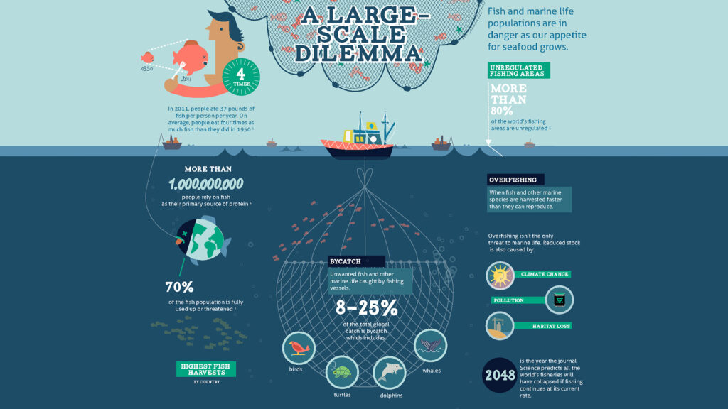 Infografía sobre la contaminación del agua